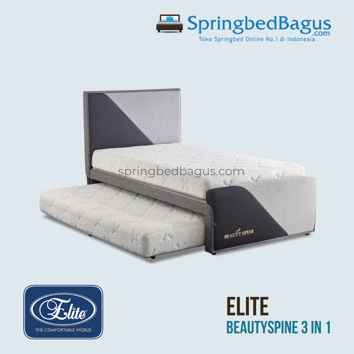 ELITE BEAUTYSPINE 3in1