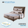 Comforta-Solid-Spine-2021-SpringbedbagusdotCom-800px-Web