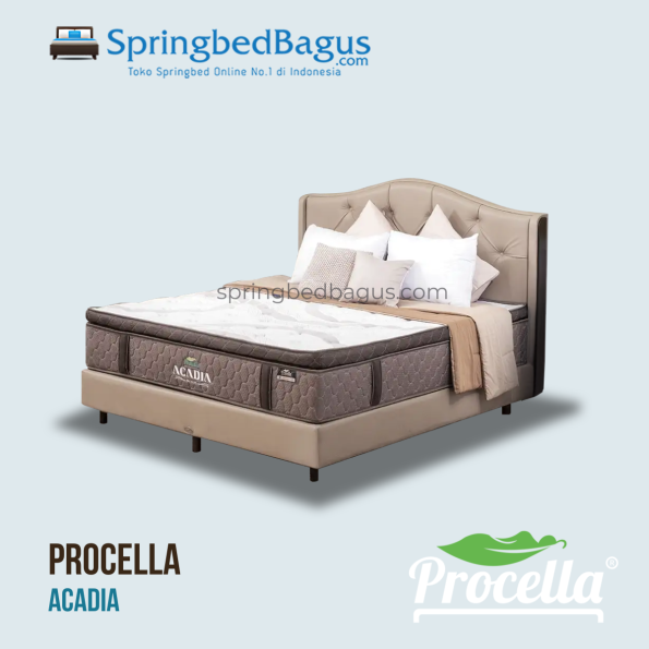 Procella - Acadia - 2025