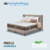 Procella - Autumn Breeze - 2025