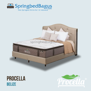 Procella-Belize-2025.