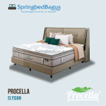 Procella – Elysian – 2025
