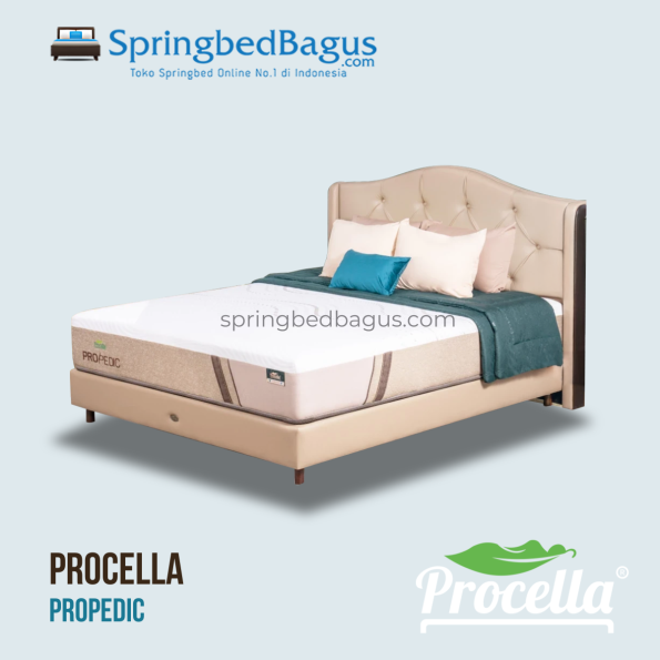 Procella – PROPEDIC – 2025 Procella - PROPEDIC - 2025