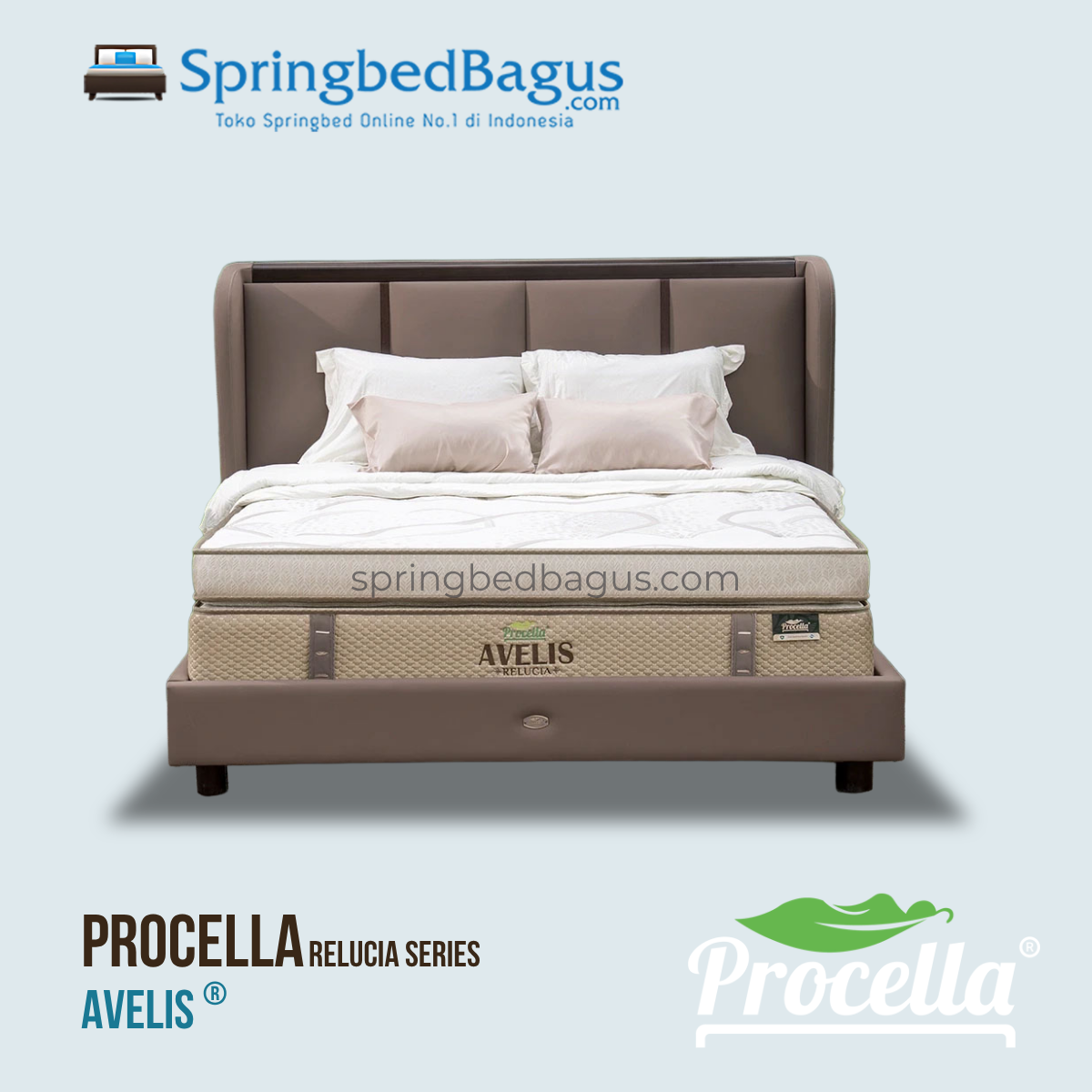 Procella - AVELIS - 2026