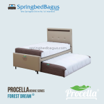 Procella – Forest DREAM – 2026