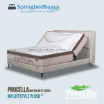 Procella – MR LIFESTYLE PLUSH – 2026