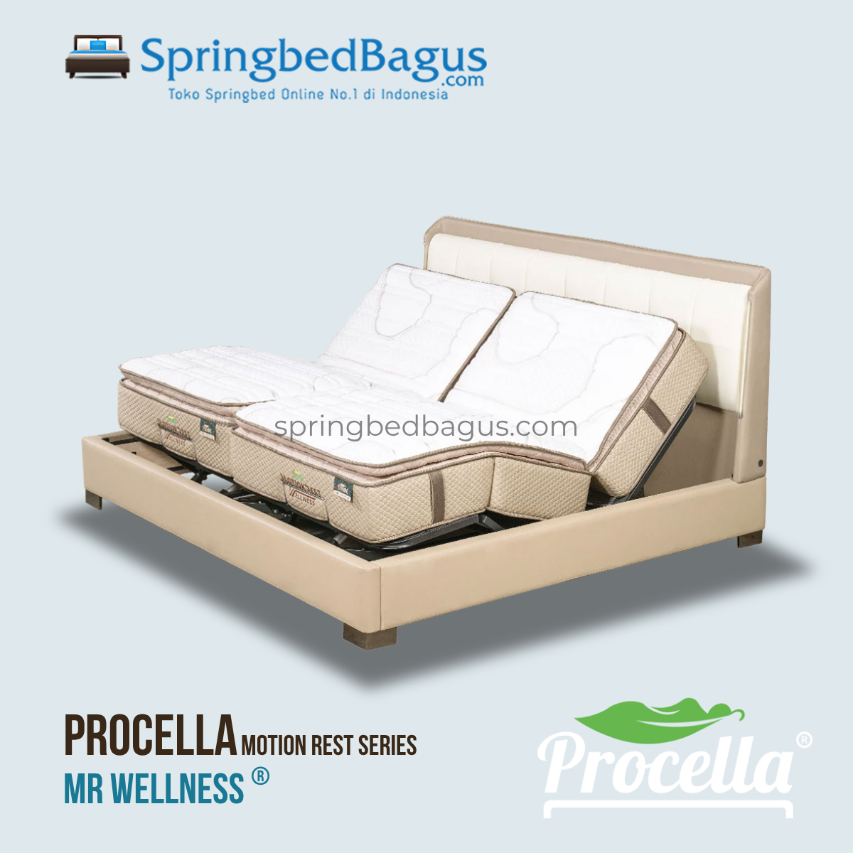 Procella Motion Rest Wellness