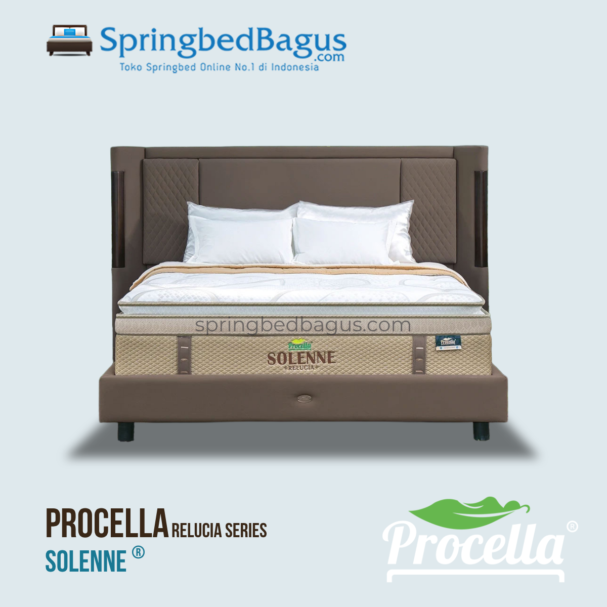Procella - SOLENNE - 2026